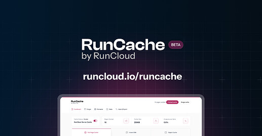 RunCache